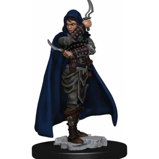 Pathfinder Battles: Premium Painted Figure - (W1) Human Rogue Female - Your Source for Gaming Essentials Discount