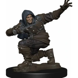 Pathfinder Battles: Premium Painted Figure - (W1) Human Rogue Male - Your Source for Gaming Essentials Hot
