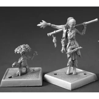 Pathfinder Druid and Familiar #60147 Pathfinder Miniatures Unpainted - Your Source for Gaming Essentials Outlet